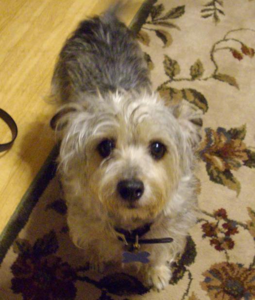Ms. Dixie Lee