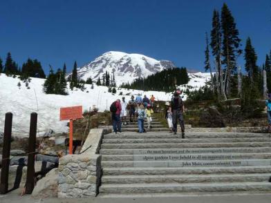 Mt. Rainer 1