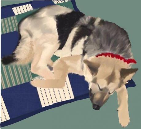 My dog, Elliott (RIP), done pre-Wacom, using only a mouse and Gimp! Not easy!