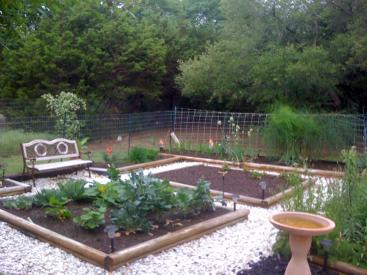 my garden
