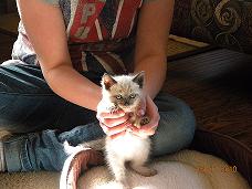 My little girl