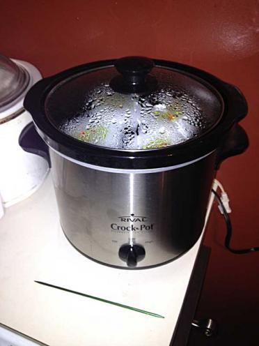 My new, dedicated NET-brewing crock pot. Picked it up at Goodwill for $10, NIB...