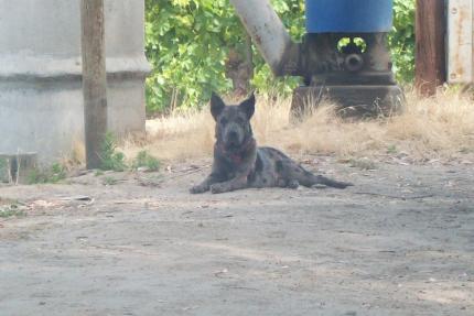 My studmuffin.  =)