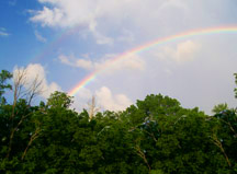 nashville rainbow 1(2)