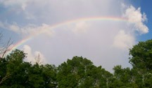 nashville rainbow 2