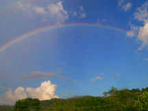 nashville rainbow 3