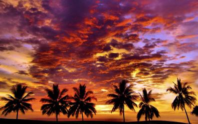nature landscapes widewallpaper tropical sunset 21203
