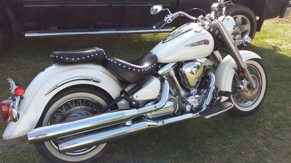NEW PROJECT-gonna be a total chick bike when Im done with it!