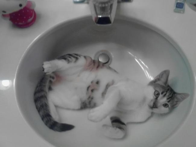 One of my favorite pics on Beekz.