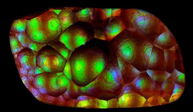 One of our premium fire agates.
