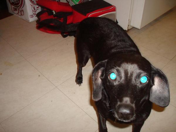 Our old maw-maw Bitsy