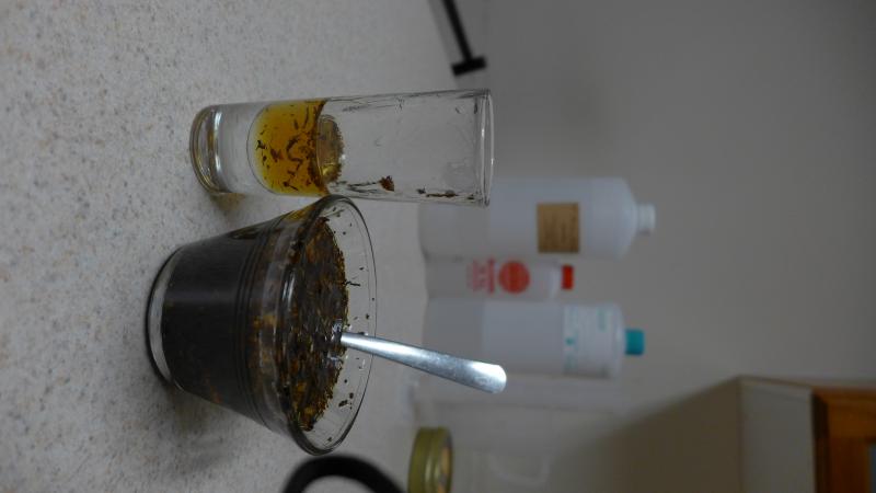 P1030584