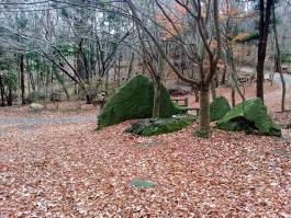 Park winter