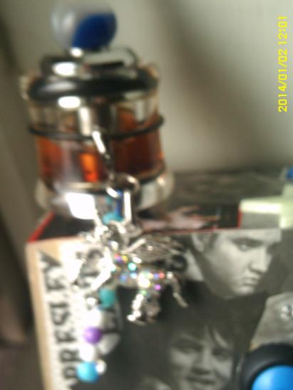 Pegasus & glass tank Jan 2014 (8)