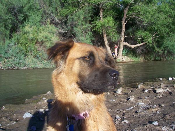 Pepper @ the River