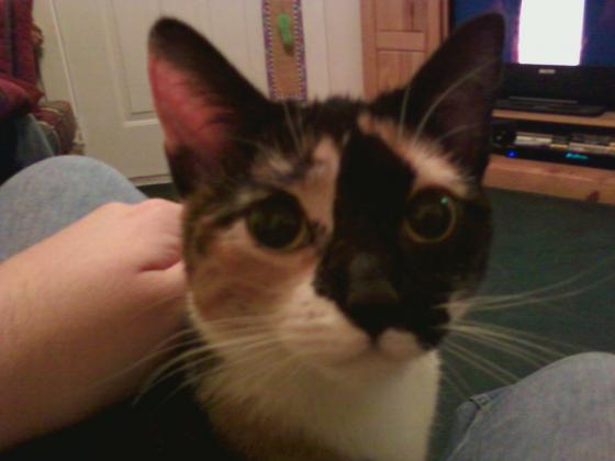Photo0102