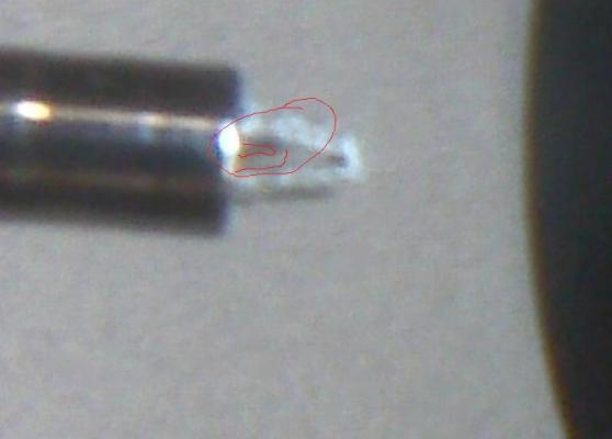 photo1