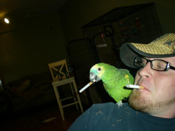 Picture 031