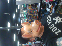 pigman
