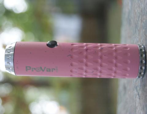 PinkVari2.jpg