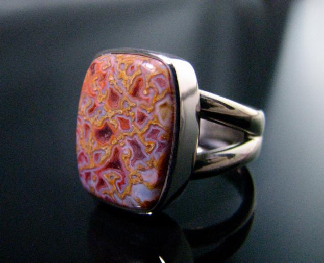 Platinum and Gem dinosaur bone ring.