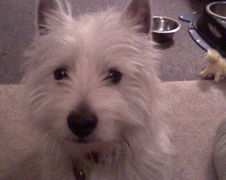 "play with me please"