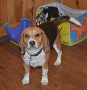 porthos