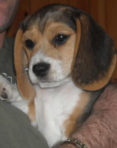 porthos
