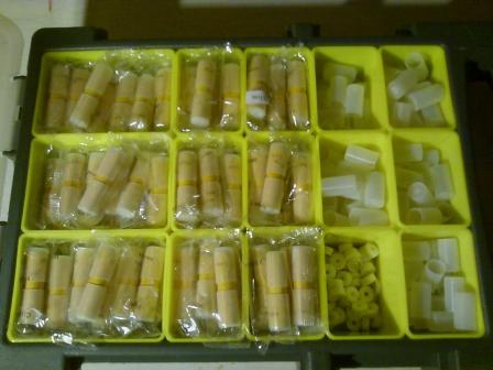 prefilled cartomizers
