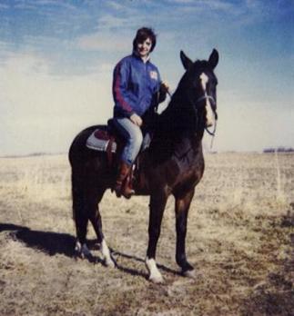Prince 11 NOV 90b 7/8 Arab / Saddlebred; traced back to Bagdad & Raffles / Skowronech (sp?)