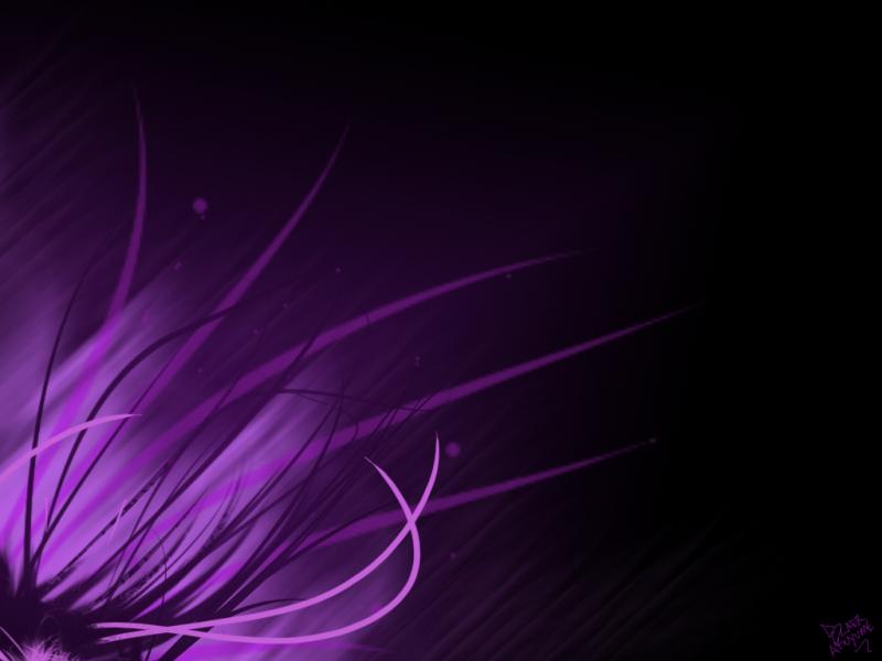 purple abstract wallpaper