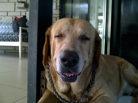 Quezon City 20111113 00159
