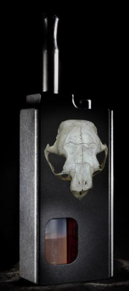 Reo skull 2