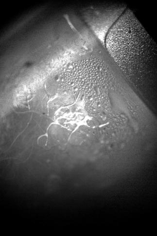 reverse macro Cartomizer smaller