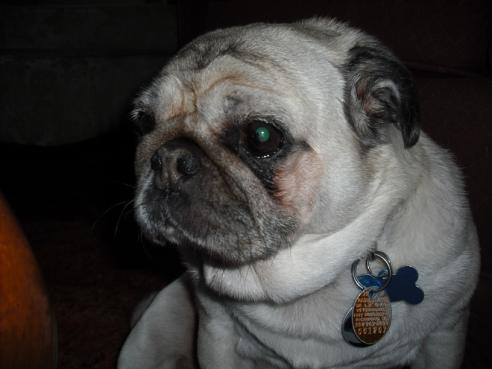 Rocky 1