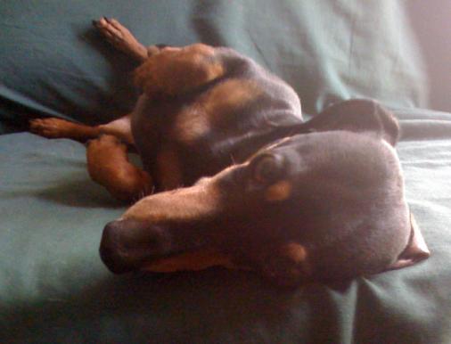 Rocky