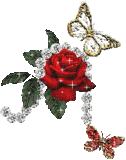 rose sparkle