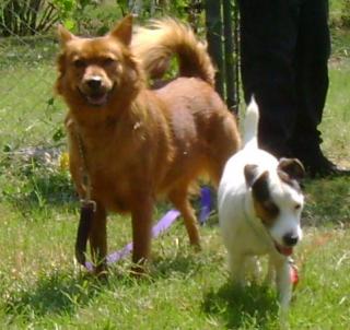 Sandy and Daisy