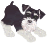schnauzeranimation[1]