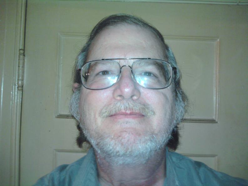 scruffy kitty historian