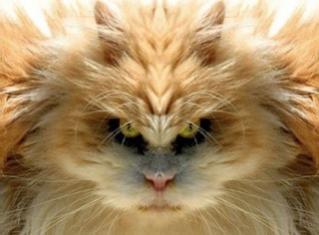 securedownload