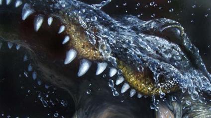 See Ya Later Alligator
Gator Close Up