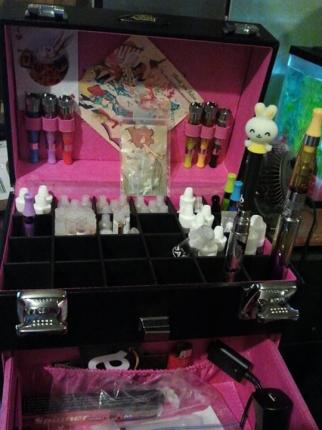 shany cosmetic case,  works great for organizing ecig stuff