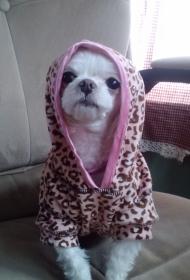 She doesn't like the cold