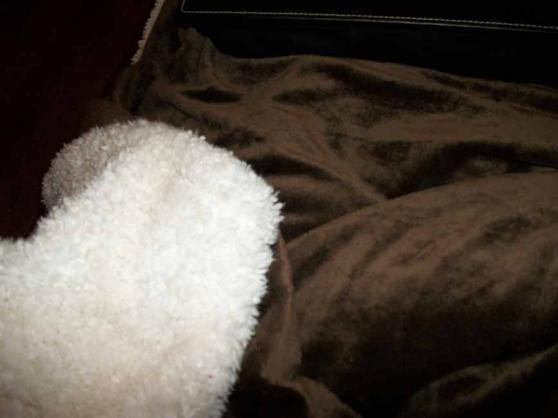 Sherpa Throw