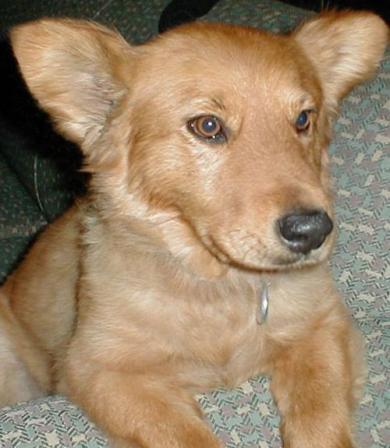 Short haircut, radar dishes on full alert.