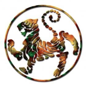 shotokan tiger   tora no maki by aylusarn