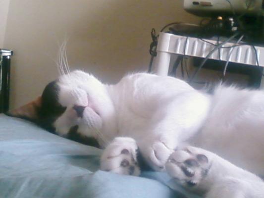 Sir Charles the Nappy