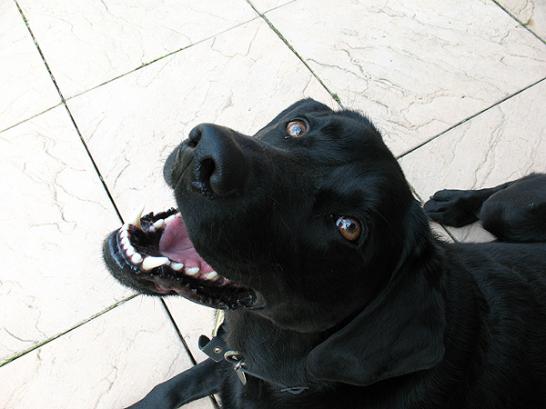 Smile for the camera!