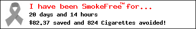 SmokeFree9 29 09 57085